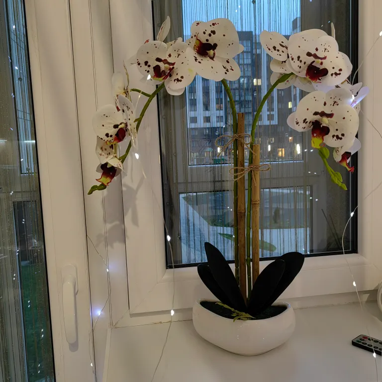 Квартира Уютная, новая квартира недалеко от центра — Калининград