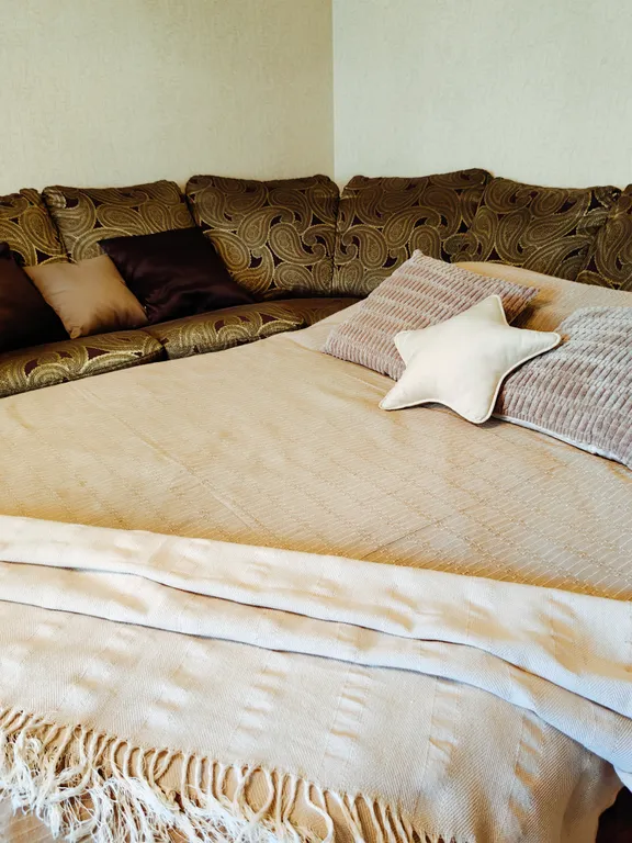 Просторная квартира у ЖД Вокзала, трёхкомнатная