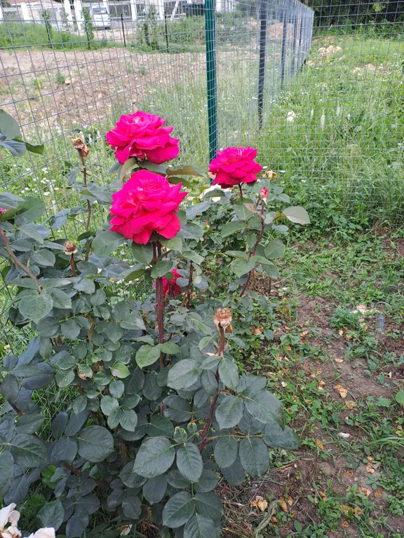 Дом для вашего идеального отдыха