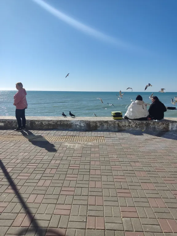 Эллинг на берегу моря