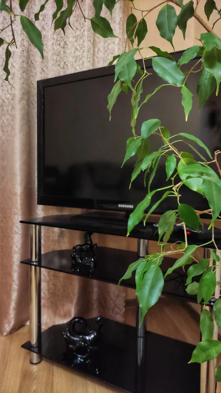 2-комнатная квартира в курортном районе, pet friendly