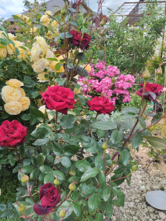 Тихое, спокойное место