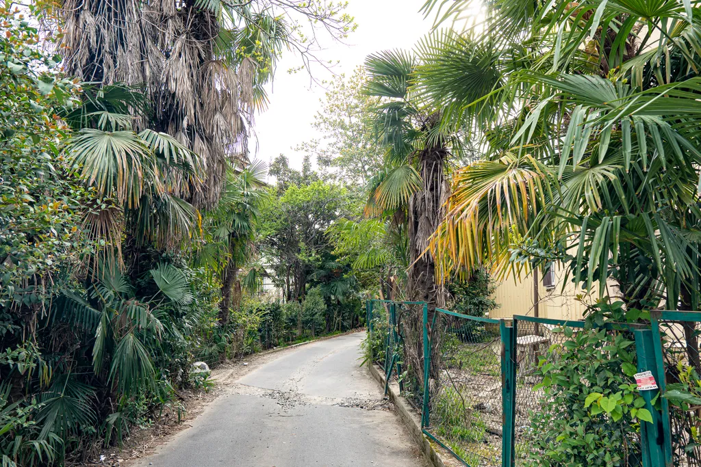 Шестиместная квартира в Хосте