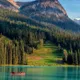 Амина