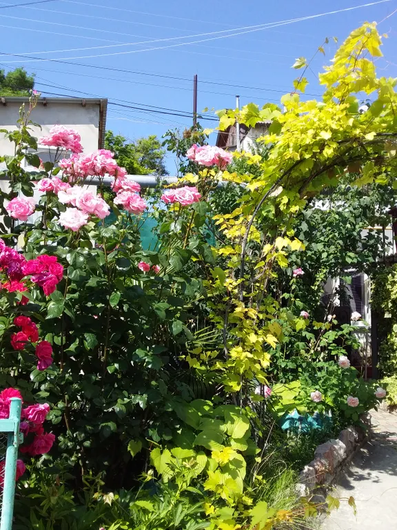 Комната у моря