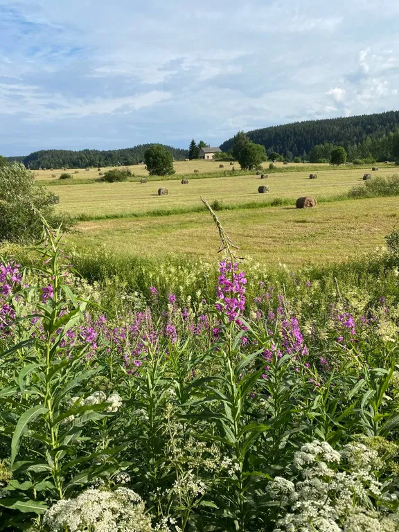 Коттедж Гостевой дом Русь Карелия — Микли