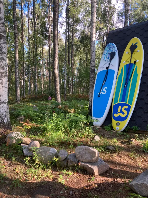 Руна Леса Карелия