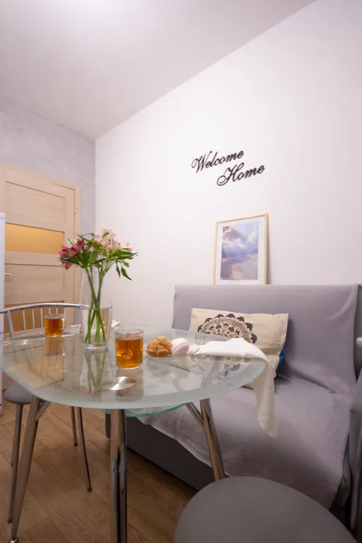 1-комнатная квартира у Меги