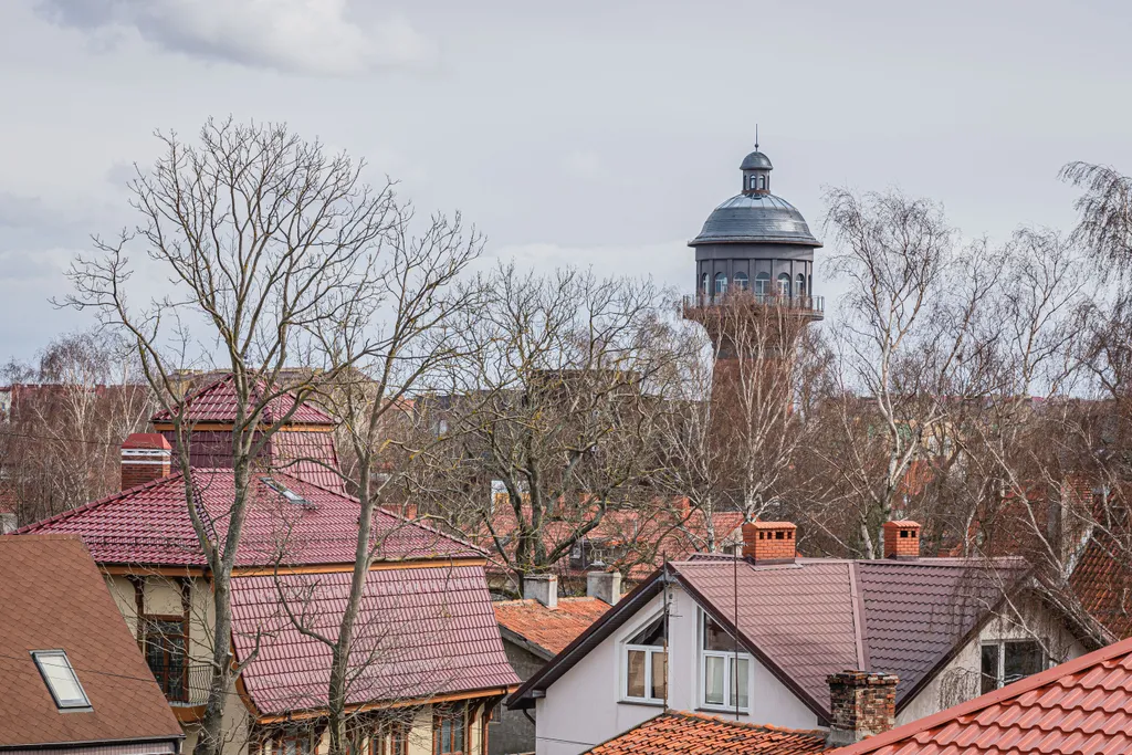 Квартира Апартаменты БалтАрбат — Зеленоградск