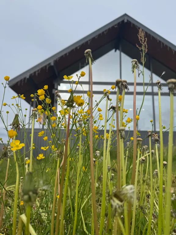 Коттедж Стеклянный дом на берегу Мичуринского озера возле склонов для катания — Мичуринское