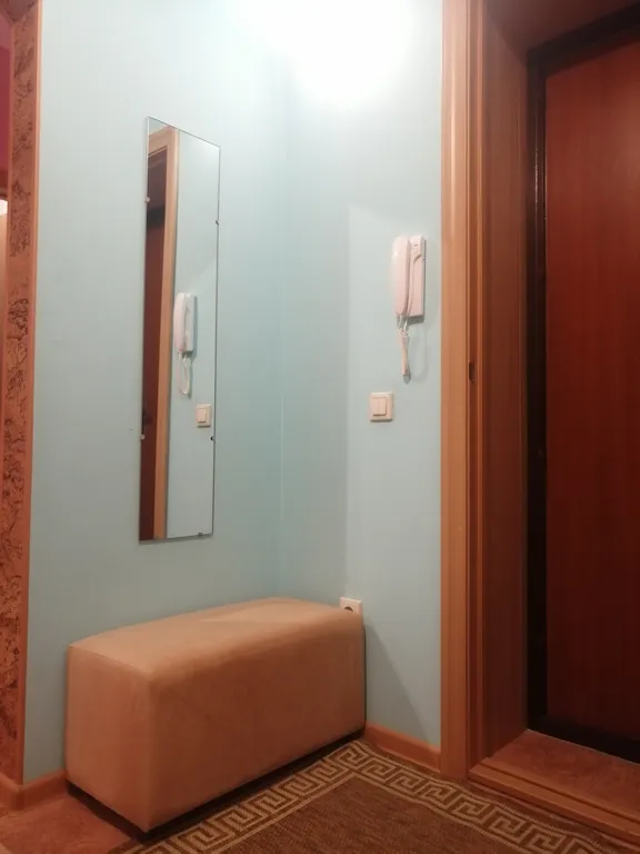 Большая квартира в центре 1+