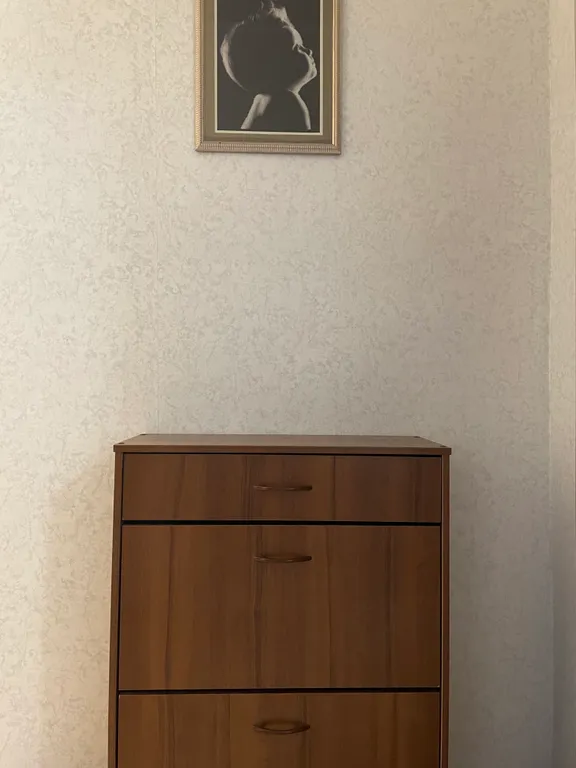 Уютная чистая квартира в новом микрорайоне