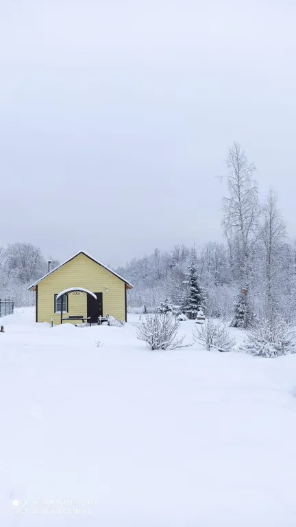 Семейный Домик в деревне