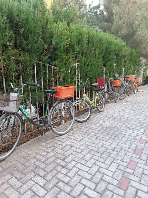 Двухместный с двумя отдельными кроватями (+ доп.место) с видом на сад