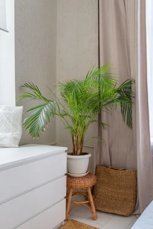 Квартира Большие апартаменты Dzen в стиле Бали в самом центре — Москва