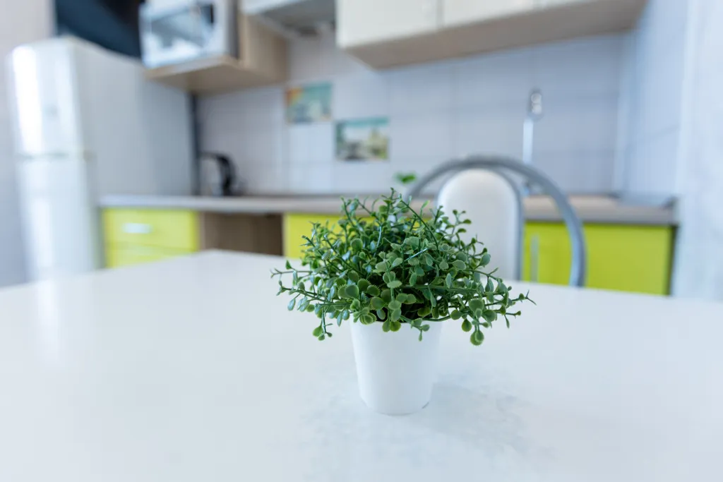 Поиски закончены!