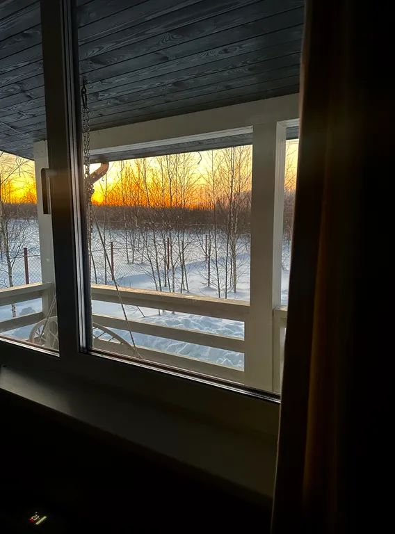 Загородный дом с видом на лес