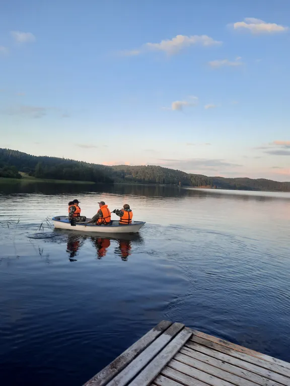 Гостевой домик Сова у ручья