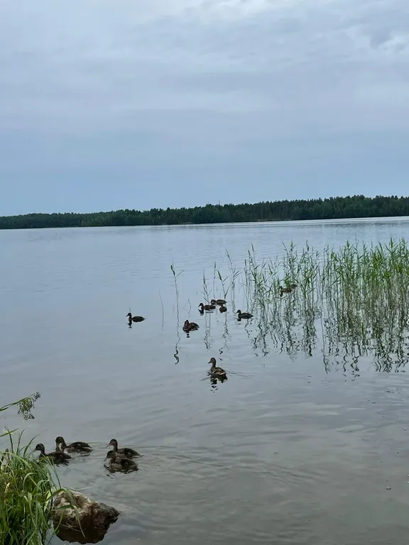 Уютный загородный дом и баня на участке 6 соток