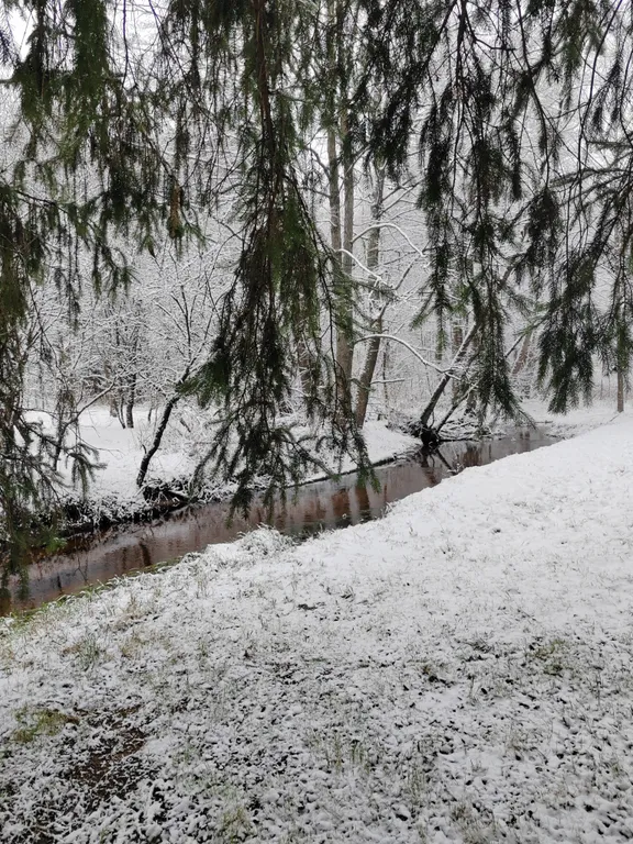 Архаичная Изба XIX века