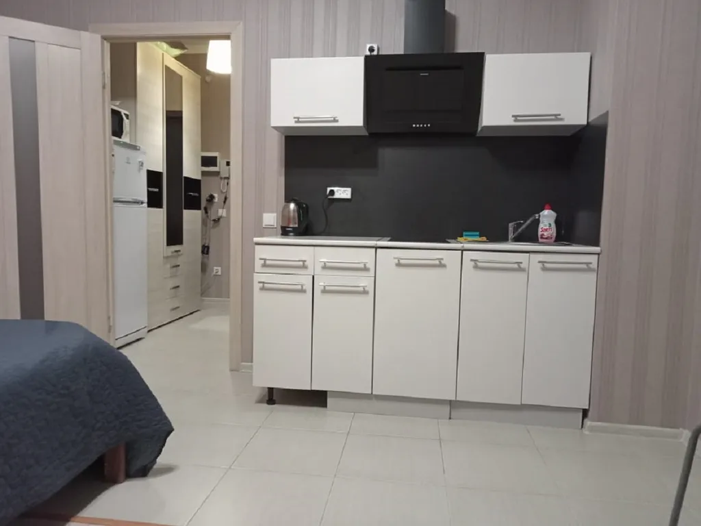 1-комнатная Квартира — аренда посуточно в Мурино