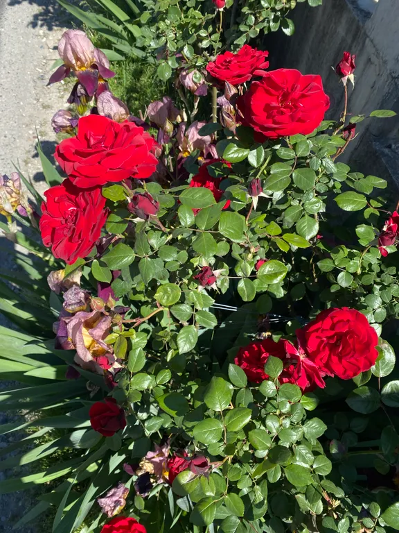 Дом мечты на море