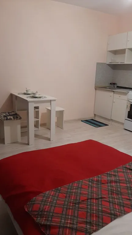 Квартира-студия рядом с DME