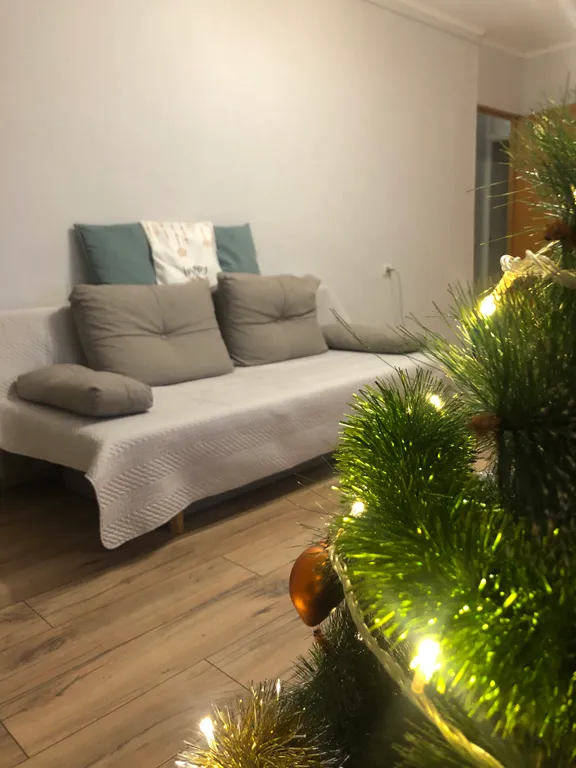 Просторная квартира на исторической улице