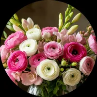 Анна Чеботаева