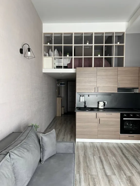 Уникальные апартаменты с выходом на кровлю ТЦ Галерея