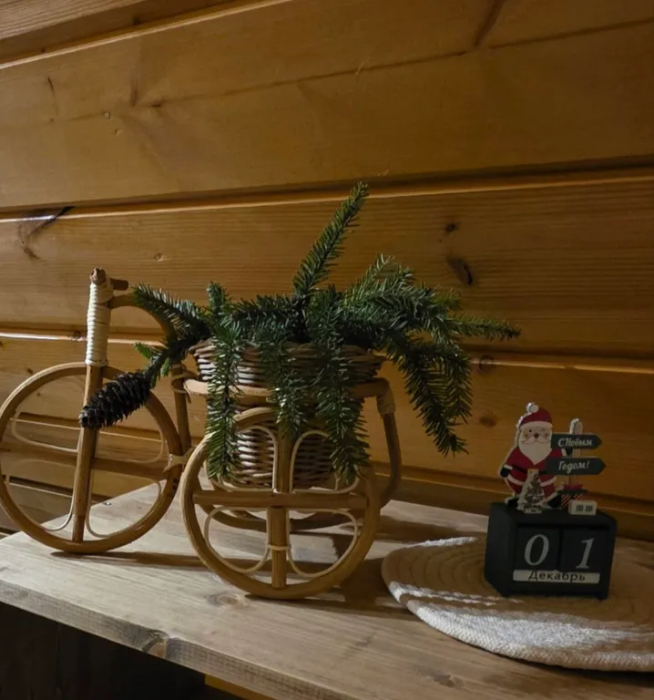 Треугольный дом шале