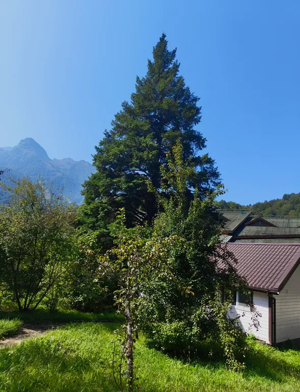 Новый дом у Газпром Лаура и Галактики