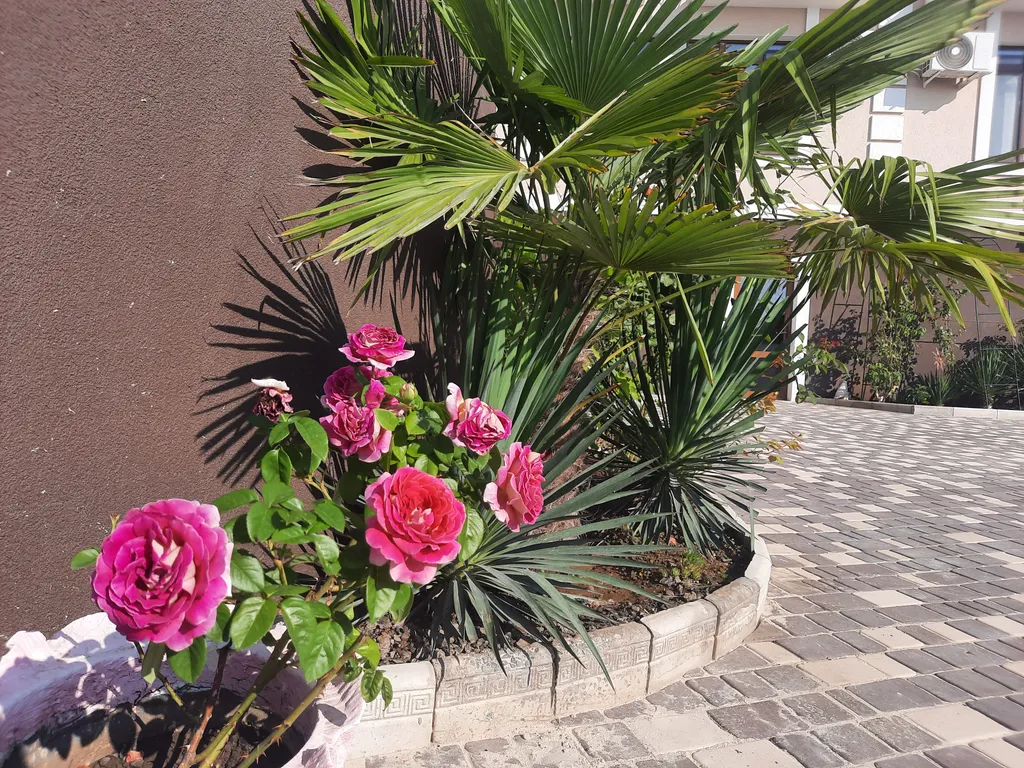 Комната с видом на море 11