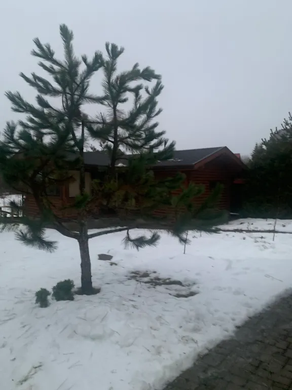 Коттедж Уютный коттедж у озера Донцо, Баня.Гриль-зона.Памятник природы. — Волосово