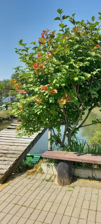 Дом рядом с термальными источниками