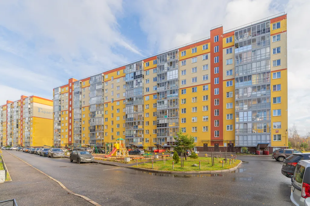 В лесной тиши