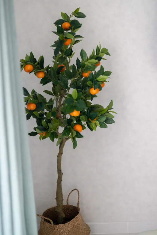 Квартира Квартира Стильный апартамент — Сочи