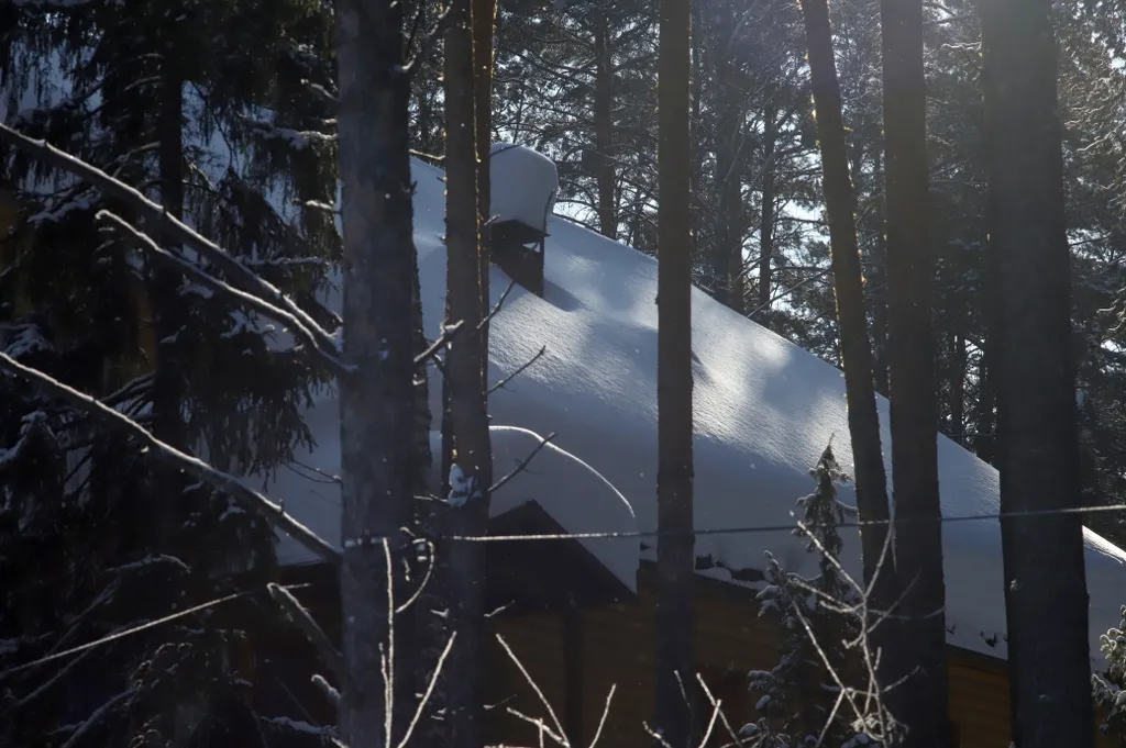 Дом 7 в лесу у реки