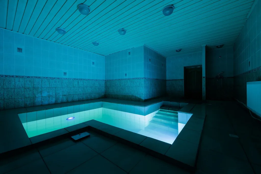 Дом с бассейном и сауной