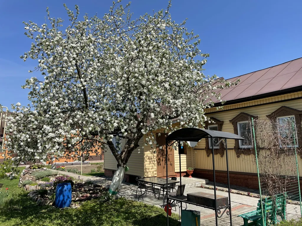 Апартаменты с видом на сад