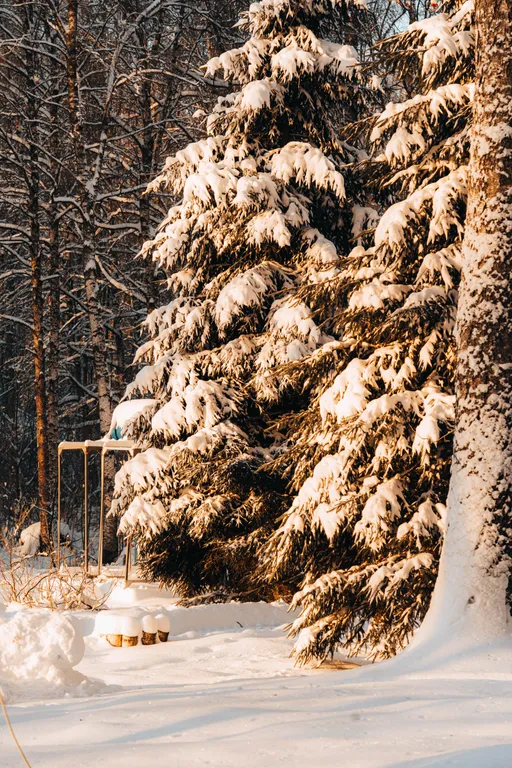 Уютные апартаменты с видом на лес