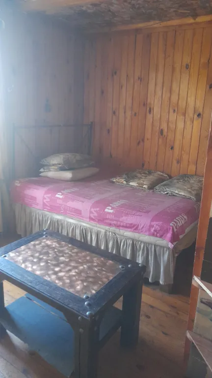 Большой дом с бассейном и диско, в ретро стиле около аэропорта Минск