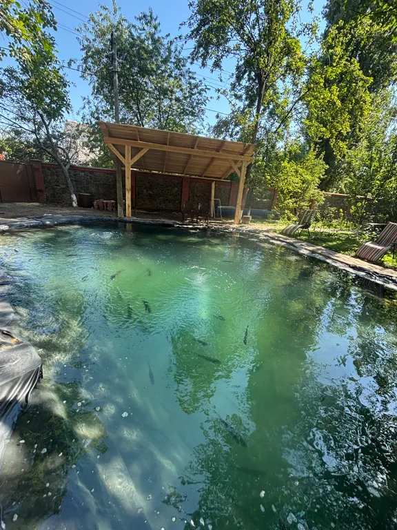 Усадьба Новознаменская