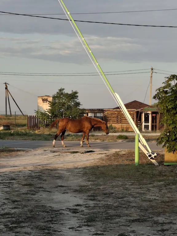 Домик с отдельным входом двумя комнатами кухней