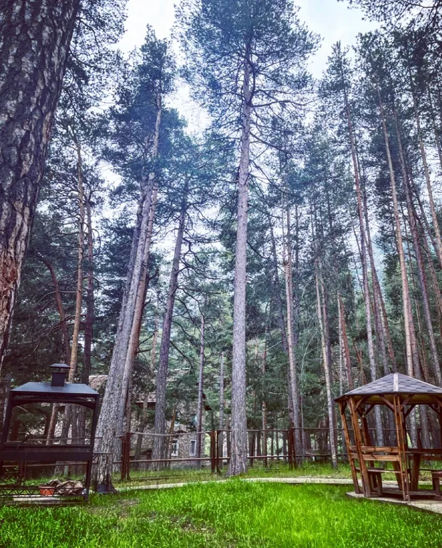 Горная сказка