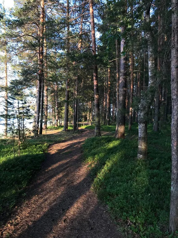 Домик в Карелии