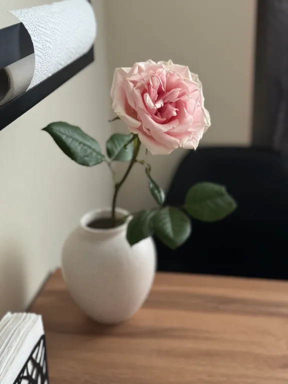 Квартира Уютная квартира в скандинавском стиле — Мурманск