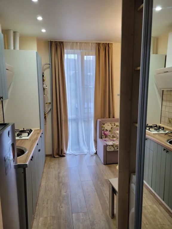 Квартира 1-комнатная Квартира — Сириус