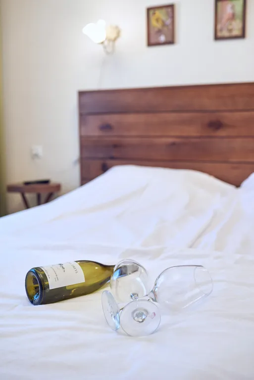 Вилла Lindens Ekopark с видом на гору Стрижамент