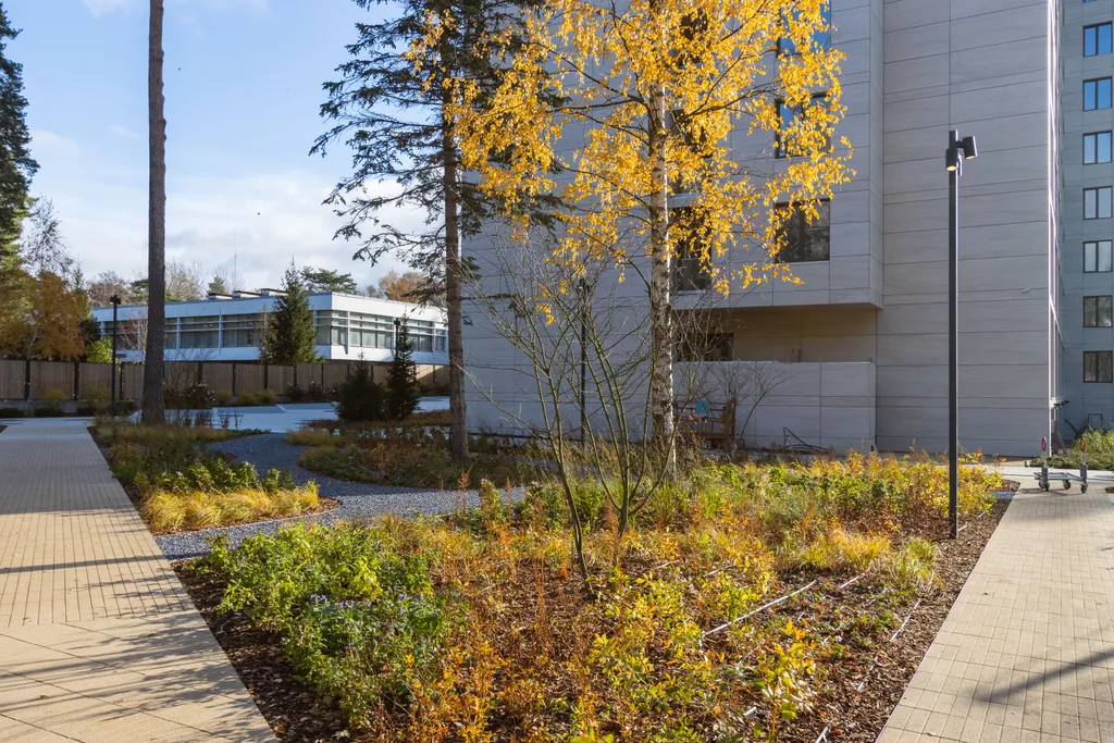 Белая студия-кинотеатр